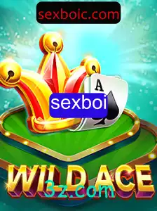 Explorando o universo do jogo WildAce: regras e mecânicas