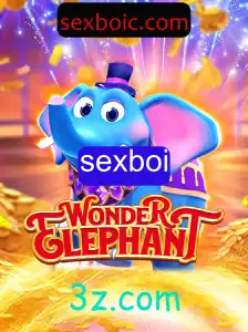 WonderElephant: Descubra a Magia por Trás do Jogo Inovador